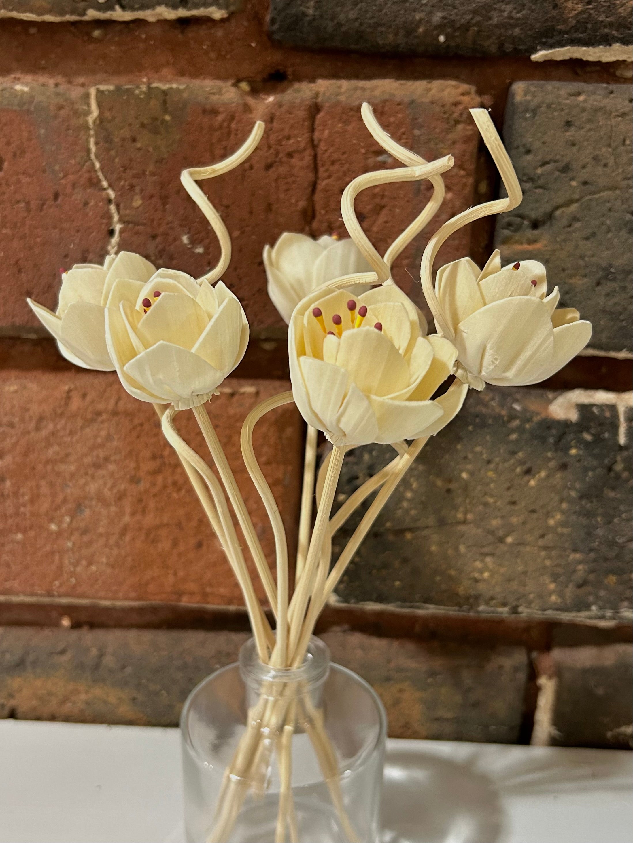 Additional Reed Diffuser Sticks