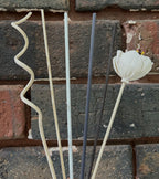 Additional Reed Diffuser Sticks
